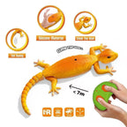 Gekon RC Zdalnie Sterowany Wroomster Wspina po Ścianach Suficie LED USB